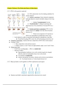 Molecular Genetics