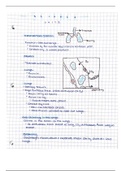 Biology Human/Body systems bundle