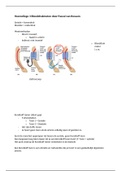 Hoorcollege 3 Bloeddrukmeten (Optometrisch onderzoek 2)