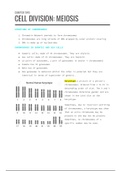 Cell Division: Meiosis