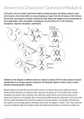 Module 6: Discussion Question ANSWERS