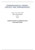  Volledige Bundel aan Overzichtelijke Nederlandse Samenvattingen van Boeken + Artikelen + Schema UU Jeugdcriminaliteit en Jeugdbescherming