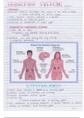  IEB Gr 12 Biology Endocrine System