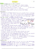 Virologie course 10 