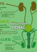 Renal (BS)