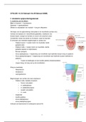 rondlooptoets anatomie cyclus 1.9 & 1.10