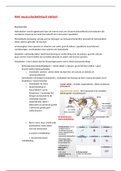 Samenvatting het musculoskeletaal stelsel - eerste jaar Biomedische wetenschappen