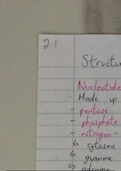 Chapter 2- Nucleic Acids 
