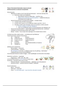 Thema 5. Hersenstam (bewustzijn, slaap en syncope) volledig uitgewerkt