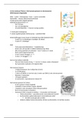 Cel tot molecuul Thema 1 Het humane genoom en chromosomen.