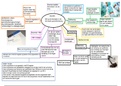 big wet mindmap