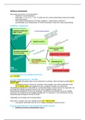 Samenvatting ontslag & werkloosheid