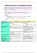 Reproduction in flowering plants Grade 12 Summary Life Science