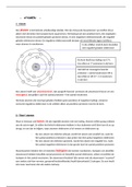 Atomen en moleculen - heldere, overzichtelijke samenvatting havo/vmbo/vwo