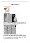Samenvatting college radiodiagostiek OP1.4