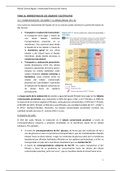 Tema 16. Sistema renal: homeostasis de los líquidos y electrolitos