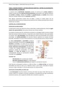 Tema 6. División eferente II: sistema nervioso somático. Control del movimiento, propioceptores y los reflejos