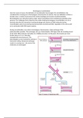 Homologous recombination