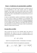 Apuntes del Tema 2 de Química de las Disoluciones Acuosas de UCV Ciencias del Mar: Condiciones de Espontaneidad y Equilibrio