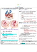 NURSING 306 OB Exam 2 Study Guide OB Hartman GOLD copy (2022/2023) 1. A PP woman has 2 saturated pads within 30 min. What is your first nursing intervention? 2. When do you instruct the mother to void? 3. Nanopharmaceutical Pain Management of the of a New