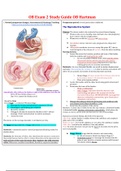 NURSING 306 OB Exam 2 Study Guide OB Hartman ,Grade A