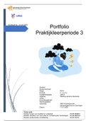 Portfolio PLP3