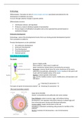 Embryology