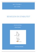 periode 1, samenvatting anatomie