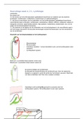 Uitwerking hoorcollege week 4, (2.1) De patiënt met oedeem