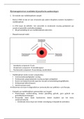 Pijnmanagement en multidisciplinaire aanpak