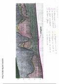 Resolución de los Perfiles Sísmicos de la Asignatura de Geofísica y Tectónica (UCV Ciencias del Mar)