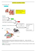 SISTEMA RESPIRATORIO