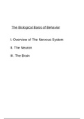 brain notes