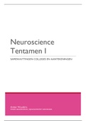 Minor Neuroscience Tentamen 1 Samenvatting