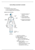 Samenvatting zenuwstelsel motoriek