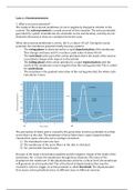 CMOP-E SCHEMA - Professioneel redeneren - Stuvia US