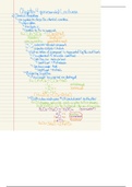 Balancing Chemical Reactions and Types of Chemical Reactions