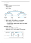 BRM2 samenvatting hoorcolleges (theorie)