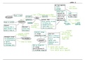 Mindmaps Inleiding Staats- en Bestuursrecht week 1 tm 7