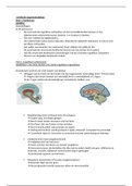 Juridische argumentatieleer 2019-2020