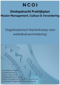 Praktijkplan toegepaste organisatiekunde NCOI Masterclass verminderen werkdruk school DOC