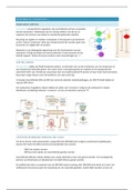 Experimental Cellbiology I samenvatting 