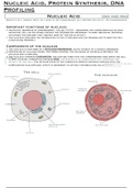 IEB Life Sciences - Nucleic Acid, Protein Synthesis and DNA Profiling Grade 12