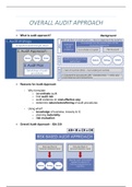 Auditing 288/388 Full Bundle (Full years work)