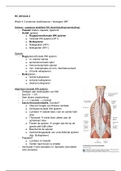 Kennistoets 4 Anatomie jaar 1