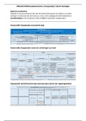 MEGASCHEMA | Goederenrecht inclusief Pitlo 3, wetsartikelen Burgerlijk Wetboek en arresten