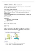 HC.8 Van DNA via RNA naar eiwit