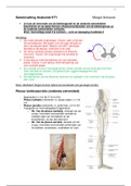 Samenvatting anatomie blok 1 leerjaar 2 HAN