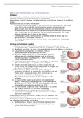 2.1 Circulatie en Ademhaling II - Alle casussen 1-13 (MET TESTVRAGEN!)