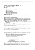 Summary RNA structure and function 